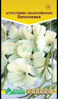 ОсновноеИзображение