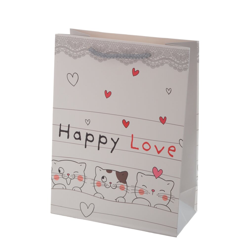 Пакет подарочный Котики в ассортименте 18х18,5х24см арт.796416 по цене 