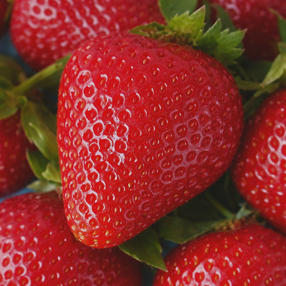 file_000000008b58720cb75257e3584d9182