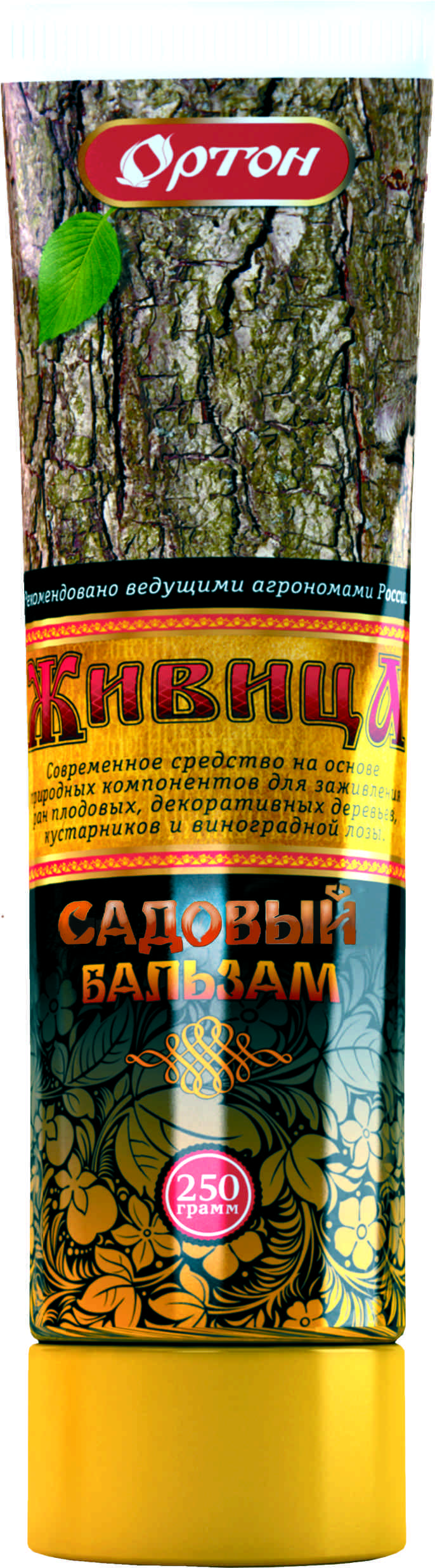 Основное изображение