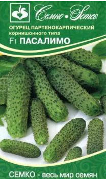 Семена Огурец партенокарпический Пасалимо F1 5 шт Семко 