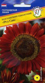 Семена подсолнечник однолетний Ред сан 7шт Престиж 