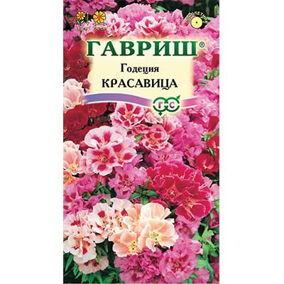 Семена годеция Красавица махровая смесь окрасок 0,3г Гавриш 