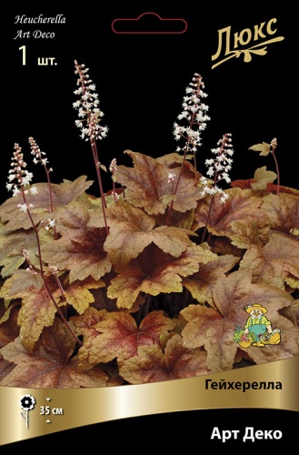 Корневище Гейхерелла Арт Деко l 1шт Поиск 