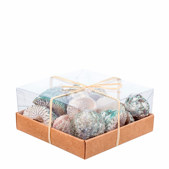 Набор ракушек в коробке №6, 130гр по цене 