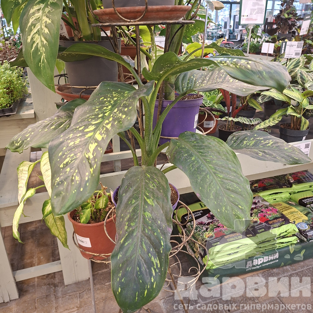 20260121_122335 marked