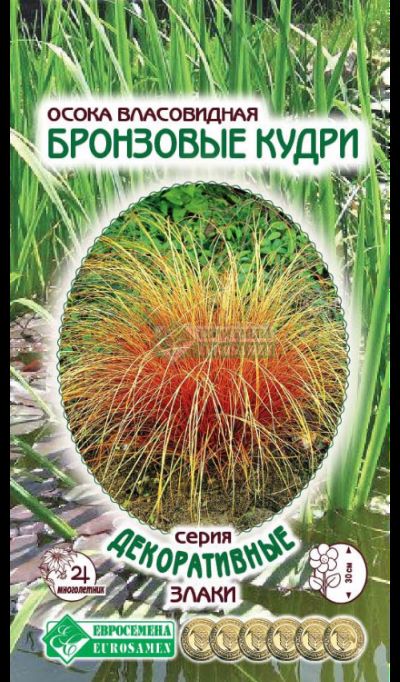 ОсновноеИзображение