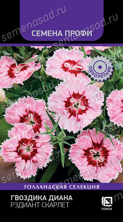 Семена Гвоздика Диана Рэдиант Скарлет 10 шт Поиск 