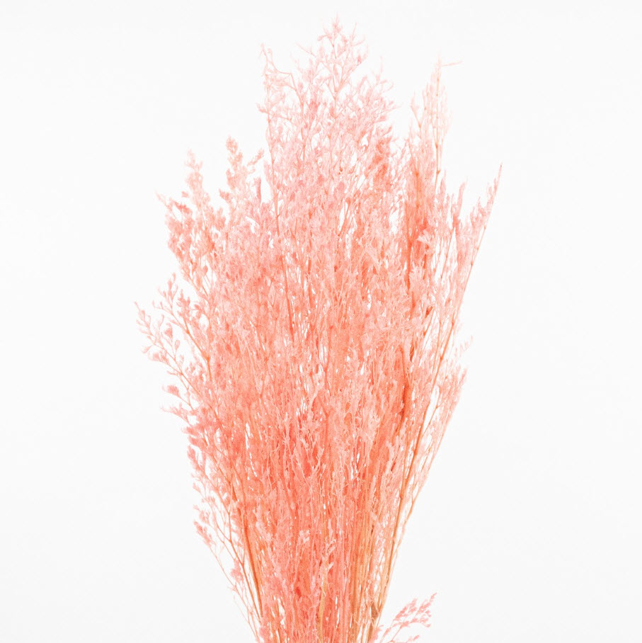 Сухоцветы Лимониум набор 100гр 70см, розовый по цене 