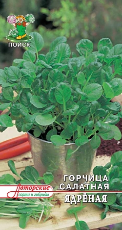 Семена горчица салатная Ядрёная 1г Поиск 