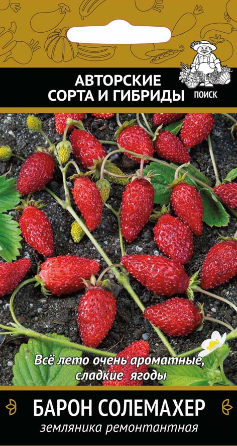 Семена земляника Барон Солемахер ремонтантная Авторские 100шт Поиск 
