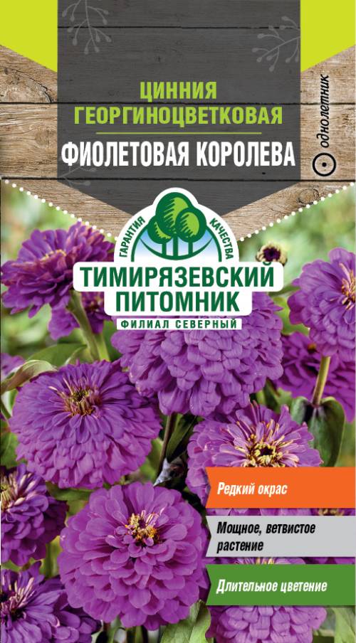 Семена Tim/цинния георгиноцветковая Фиолетовая королева 0,4г 