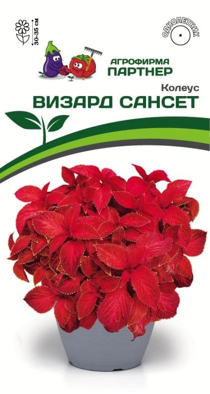 Семена Колеус шлемниковидный Визард Сансет 10 шт Партнер 