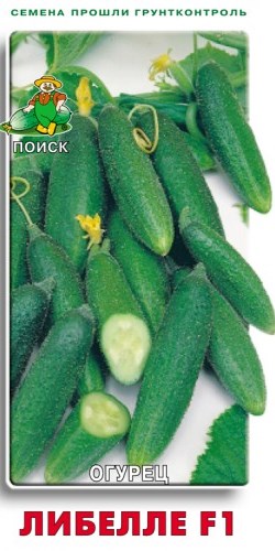 Основное изображение