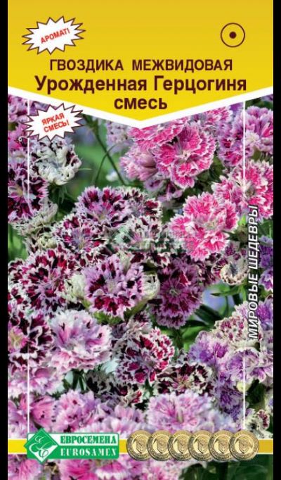 ОсновноеИзображение