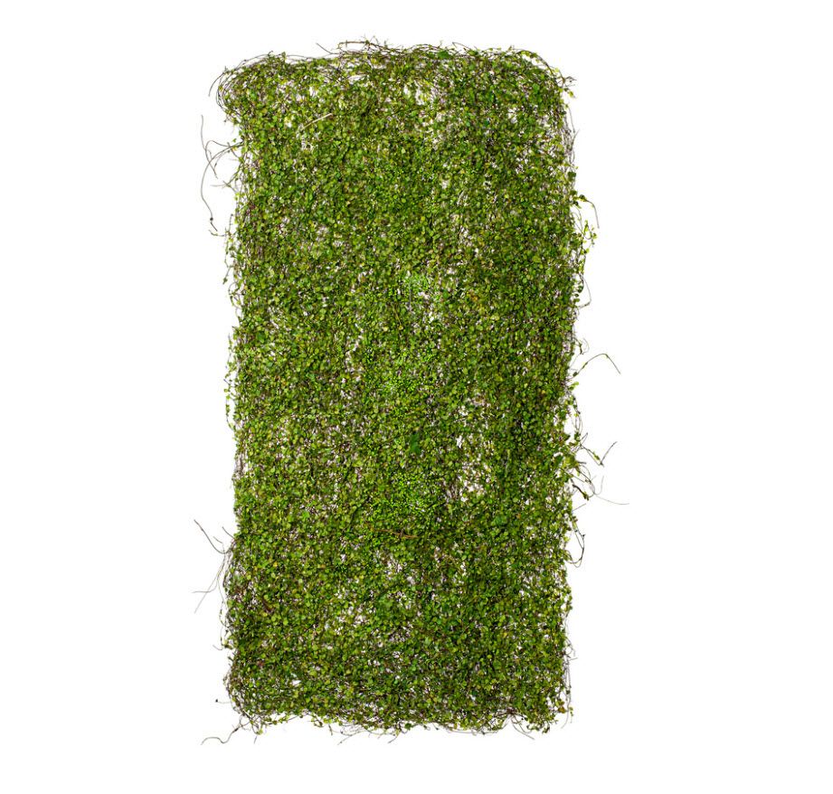 Сухоцветы коврик декоративный Клевер 35х90см по цене 