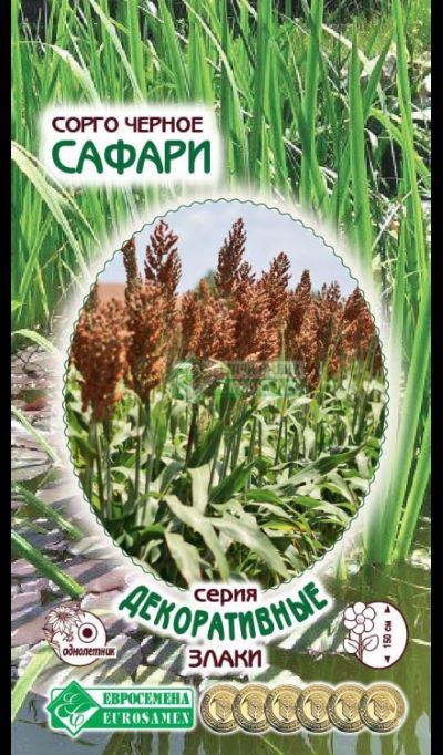 ОсновноеИзображение