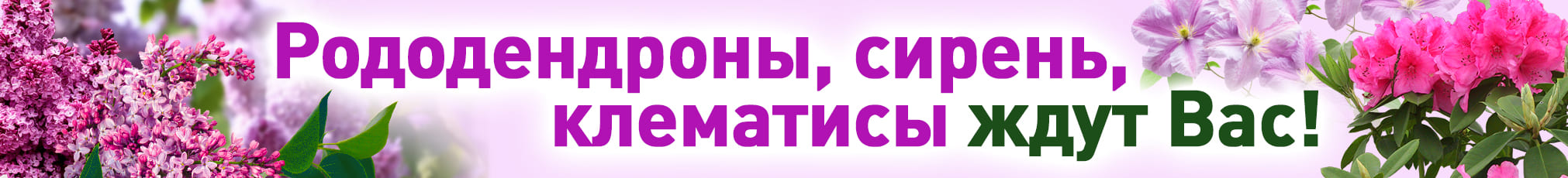 Декоративные уличные