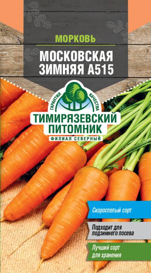 Семена-Tim-Астра Фиолетовая королева (1)