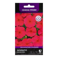 Семена Катарантус Казанова 10 шт  Поиск 
