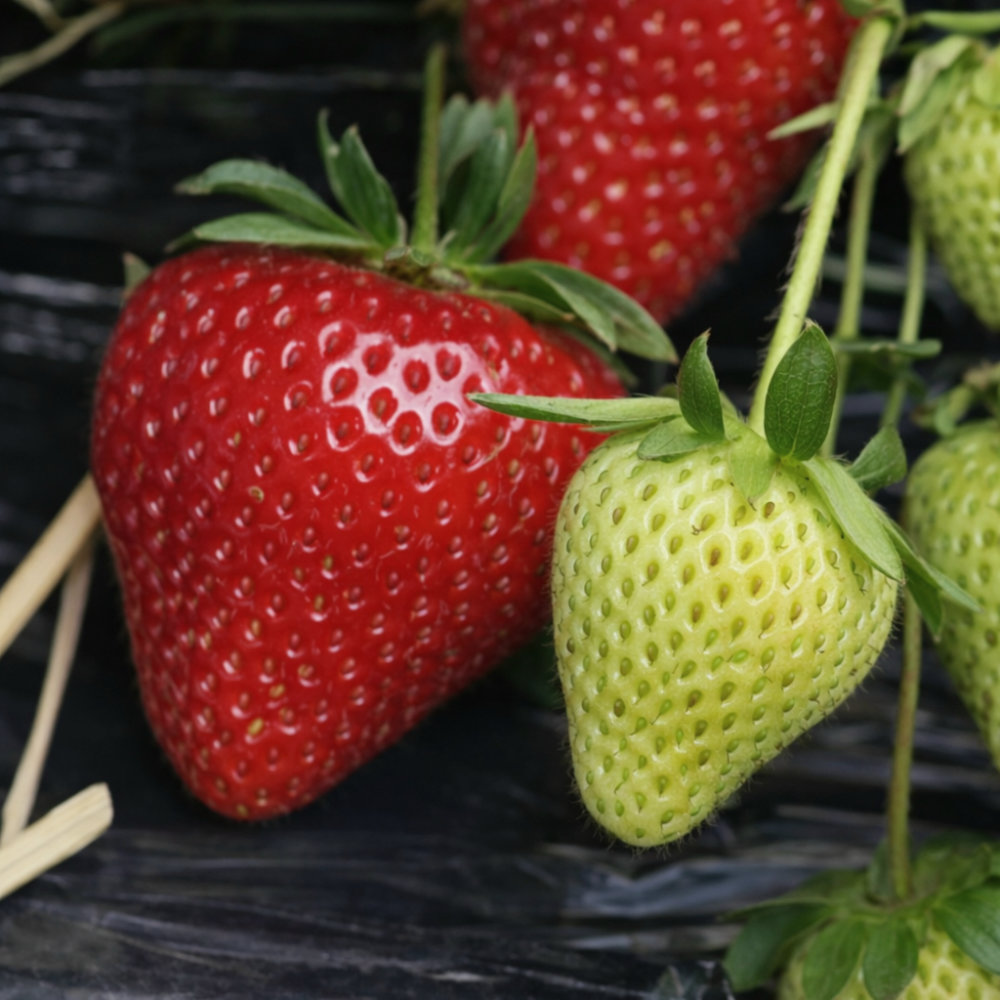 file_000000002ea0722f92d4bf978dc12ff1