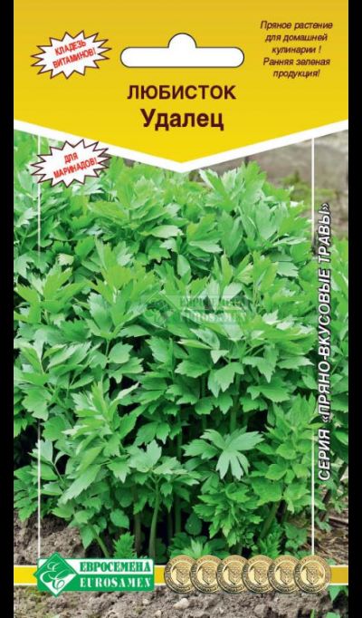 ОсновноеИзображение