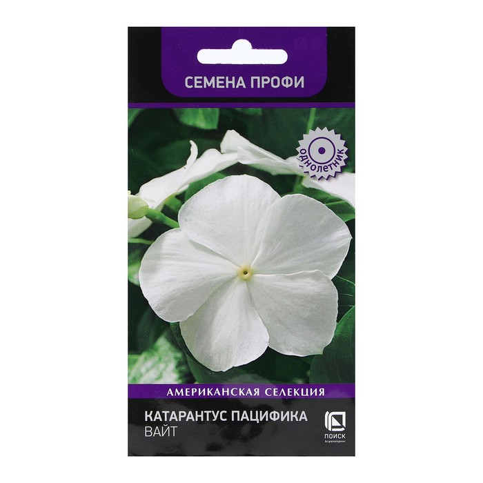 Семена Катарантус Пацифика Вайт 10 шт  Поиск 