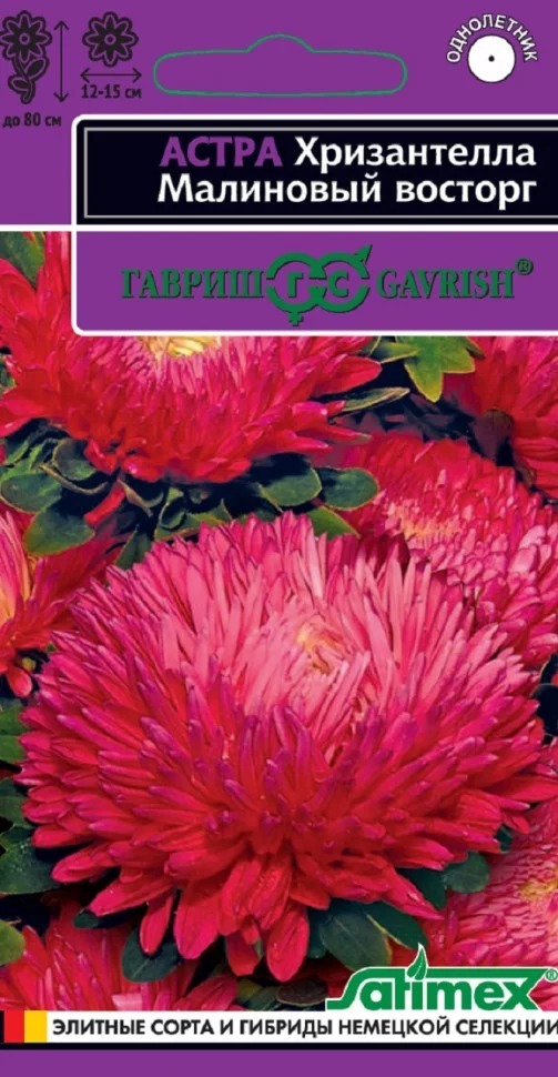 Семена Астра Хризантелла Малиновый восторг (хризантемовидная) 0,05 г   Гавриш 