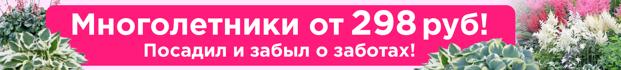 Многолетники