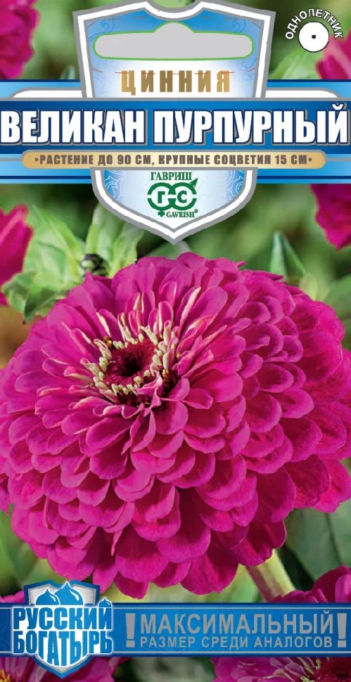 Семена Цинния Великан пурпурный 0,3 г серия Гавриш 