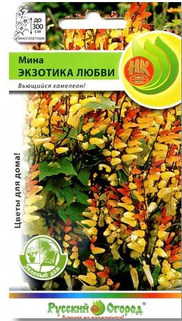 Мина экзотика любви фото в саду Фото мина экзотика любви - VsePhoto.ru