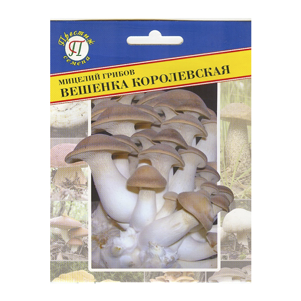 Мицелий Вешенка королевская 12палочек Престиж 