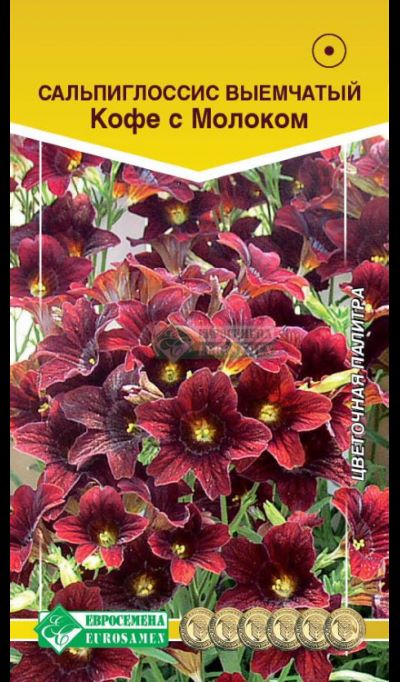 ОсновноеИзображение