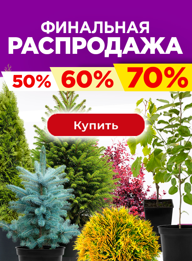 Финальная распродажа