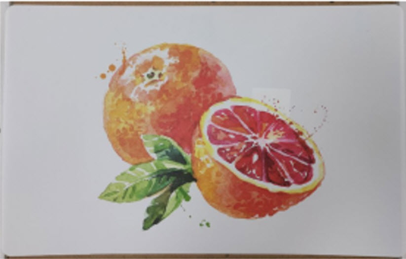 Салфетка сервировочная Верна ПВХ 26х41см арт.11245 по цене 