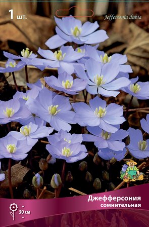 Корневище Джефферсония сомнительная1 шт Поиск 