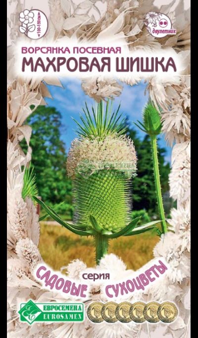 ОсновноеИзображение