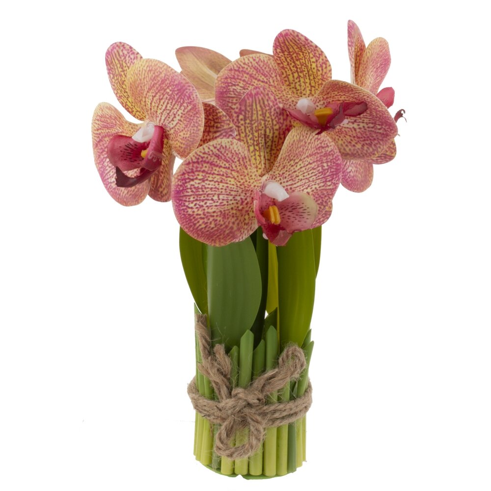 Композиция цветочная Орхидея 14х14х27см арт.817670 по цене 