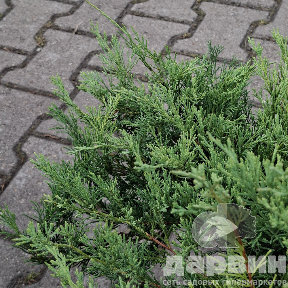 Изображение 4