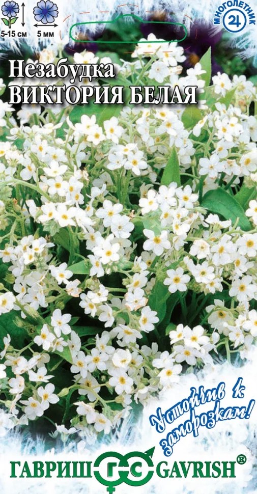 Семена Незабудка Виктория белая, альпийская  0,03 г Гавриш 