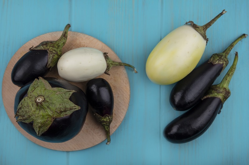 Купите семена самых ранних баклажанов 