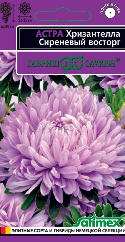 Семена Астра Хризантелла Сиреневый восторг (хризантемовидная)  0,05 г   Гавриш 
