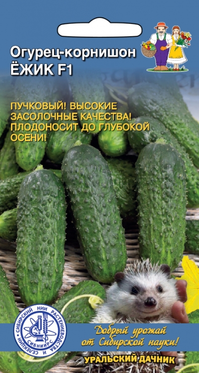 Семена огурец корнишон Ежик F1 10шт Уральский Дачник 