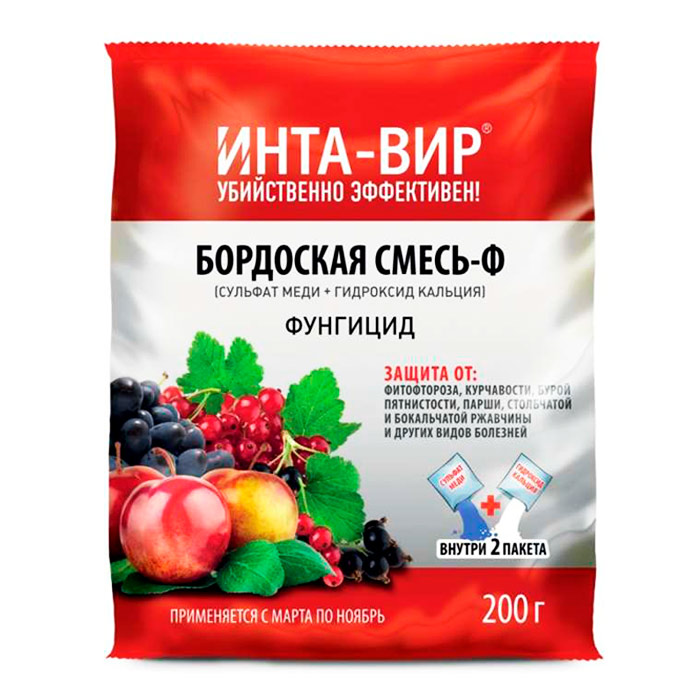 Основное изображение