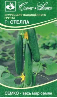 Семена Огурец партенокарпический Стелла F1 5 шт Семко 