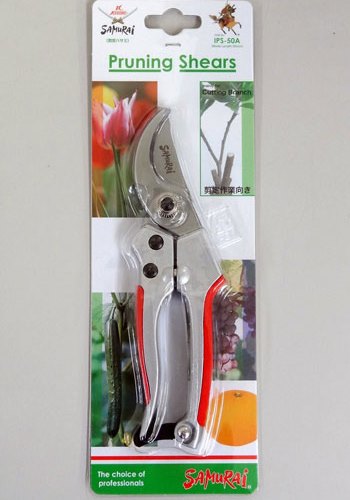 Основное изображение