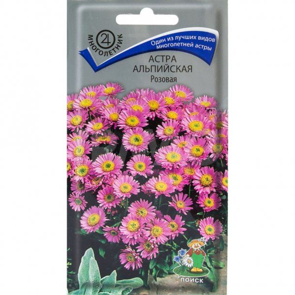 Семена Астра альпийская Розовая,0,04г Поиск 