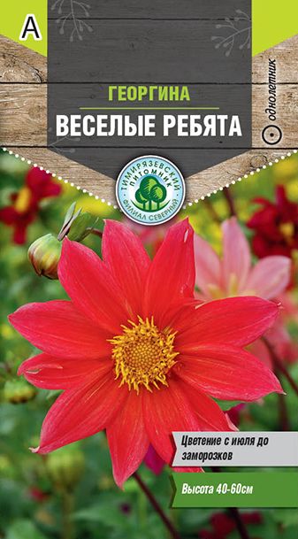 Семена Tim/цветы георгина Веселые ребята 0,2г 
