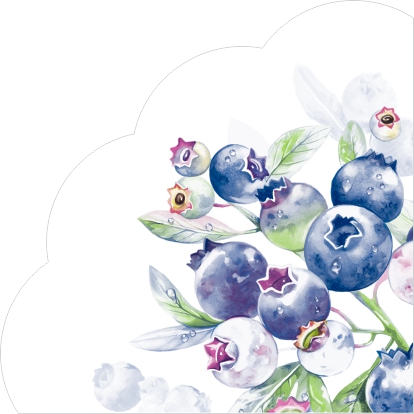 Салфетки бумажные Черника 32см 3-х слойные 12л арт.25362 по цене 