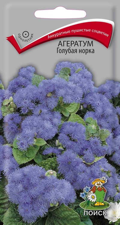 Основное изображение